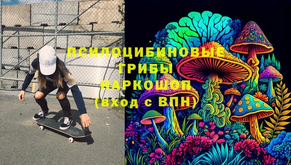 ГАЛЛЮЦИНОГЕННЫЕ ГРИБЫ Нефтекумск