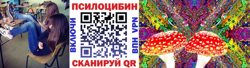 Псилоцибиновые грибы мицелий  мега зеркало  Рошаль 